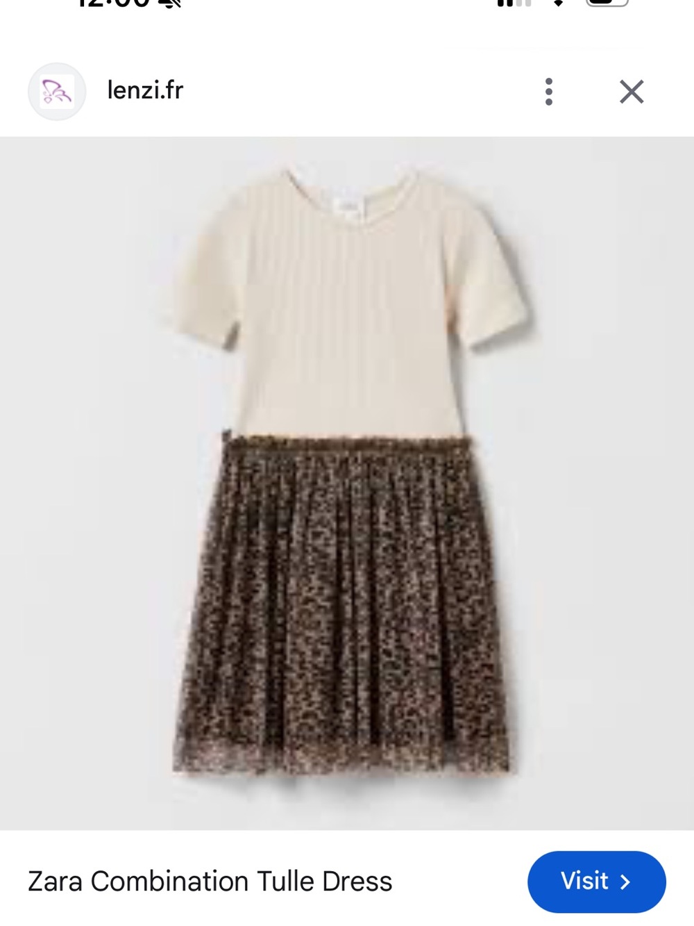 Zara Cream Ribbed Top with Brown Leopard Tulle Skirt dress